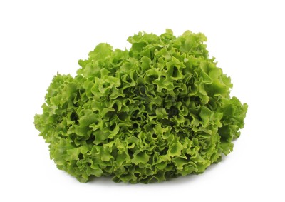 Салат романо 1 кг - купить в Паулкино